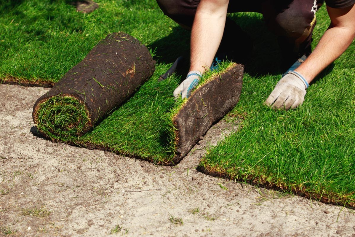 Step-by-Step Sod Installation Guide for a Lush Green Lawn